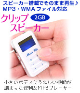 MP3 Player